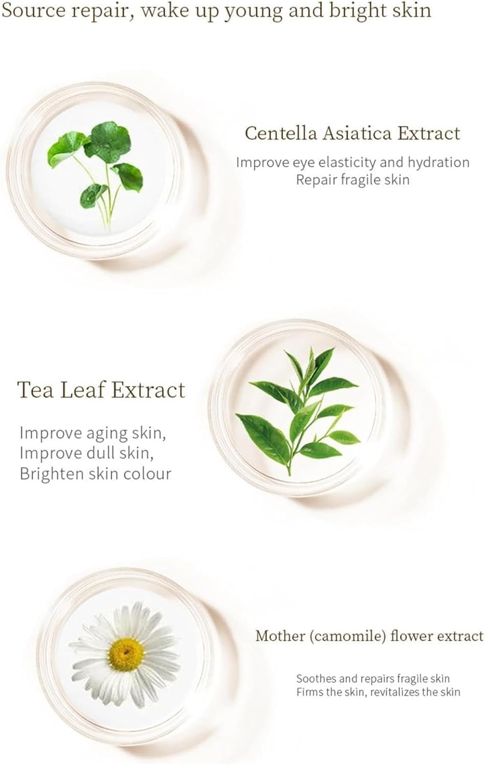 Firming Eye | Eye Cream for Puffiness | Nourishing Eye Gel, Brightening Eye Cream, Revitalizing Eye, Hydrating Eye Balm, Eye Cream for Sensitive Skin, Restorative Eye Care